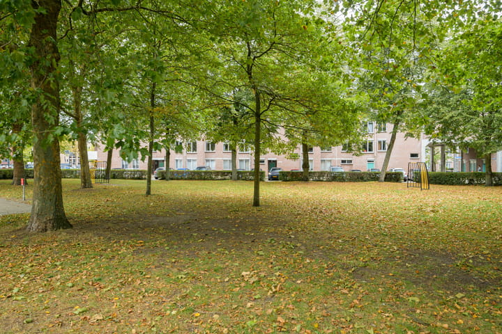 Foto 55 van Rijngraafstraat 64