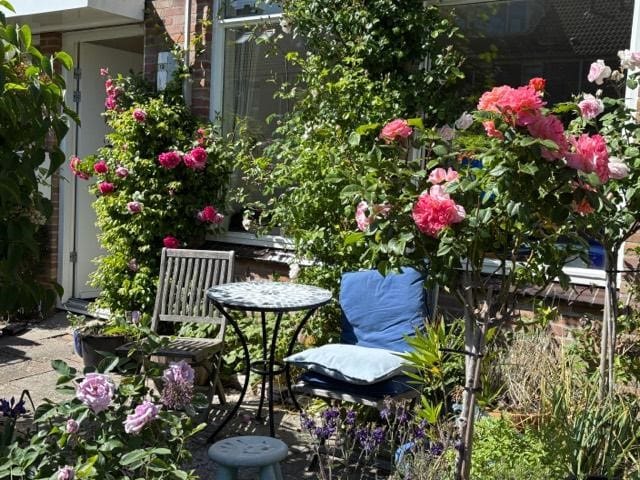 Foto 40 van J.C. Bloemlaan 13