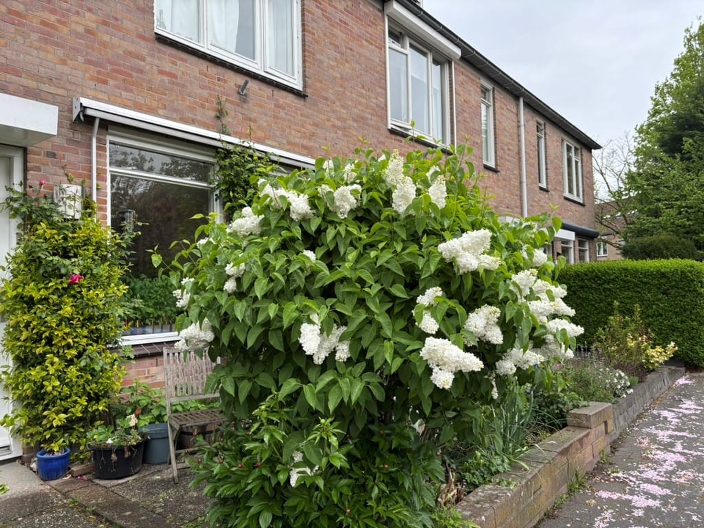 Foto 43 van J.C. Bloemlaan 13