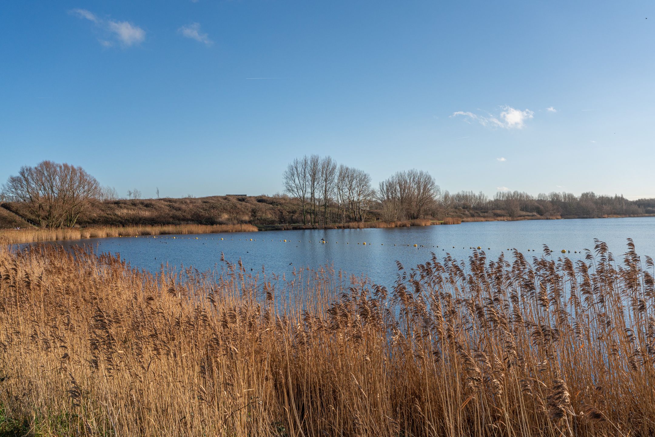 Foto 48 van J.C. Bloemlaan 13