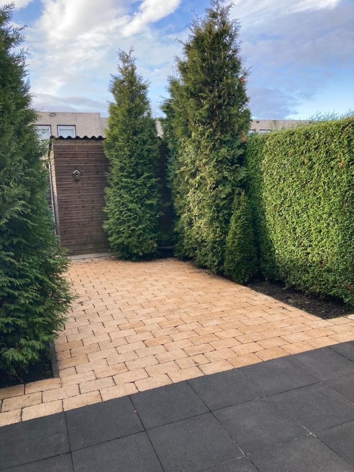 Foto 20 van Bornholmstraat 11