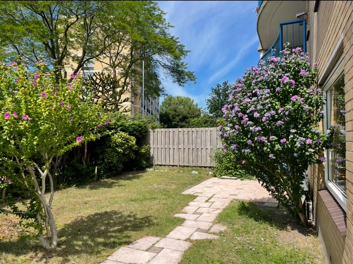 Louis Davidsstraat 174