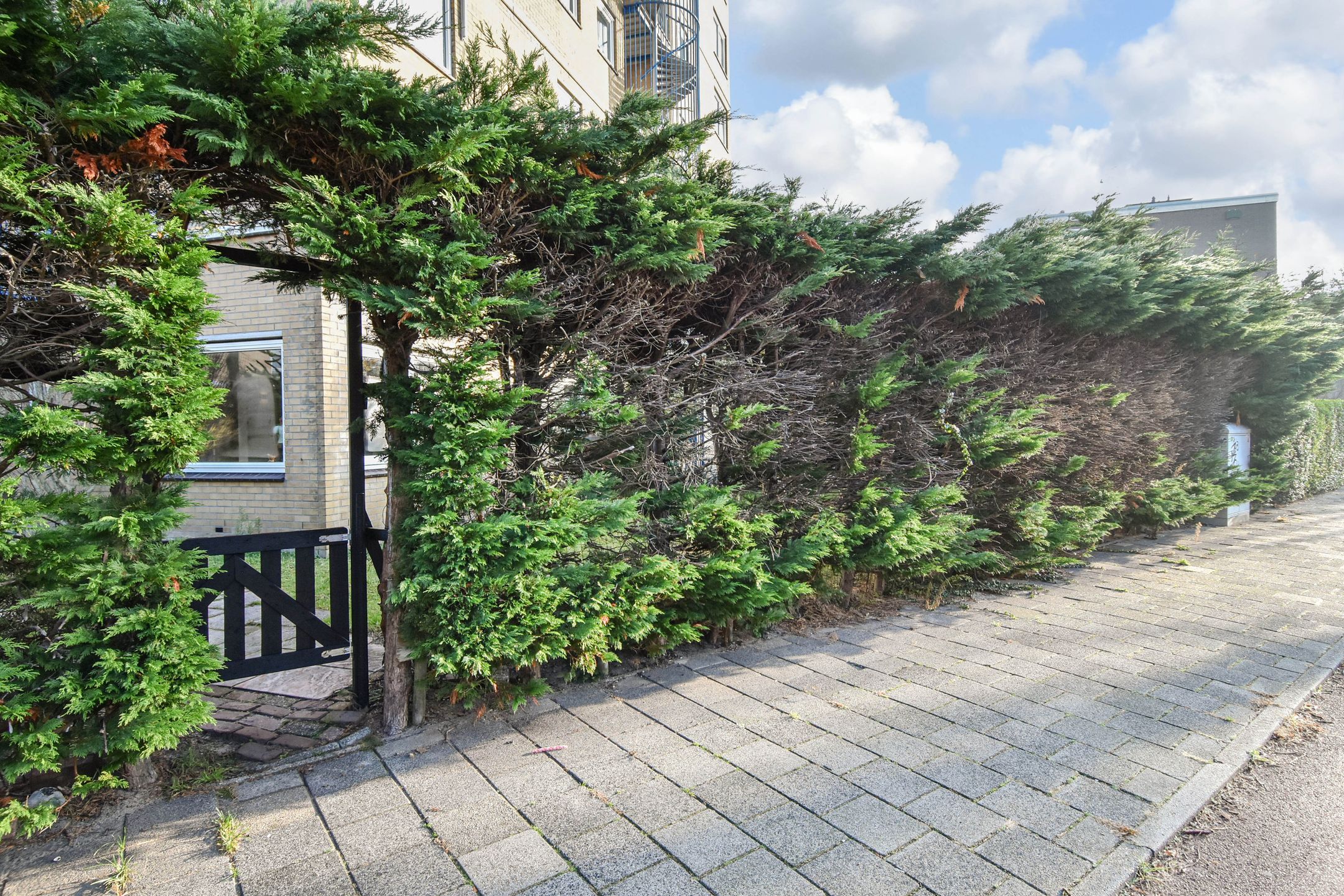 Foto 33 van Louis Davidsstraat 174