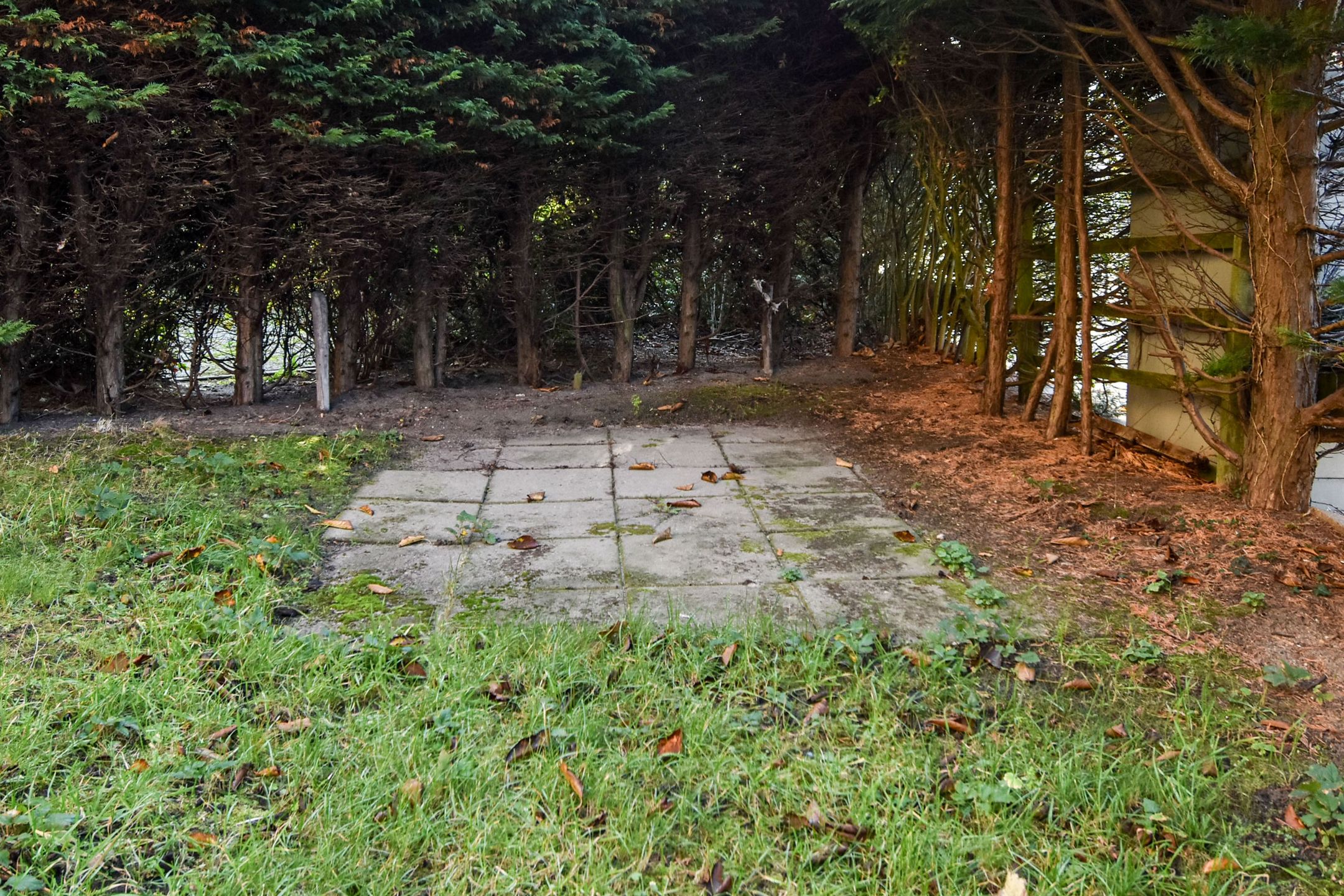 Foto 36 van Louis Davidsstraat 174