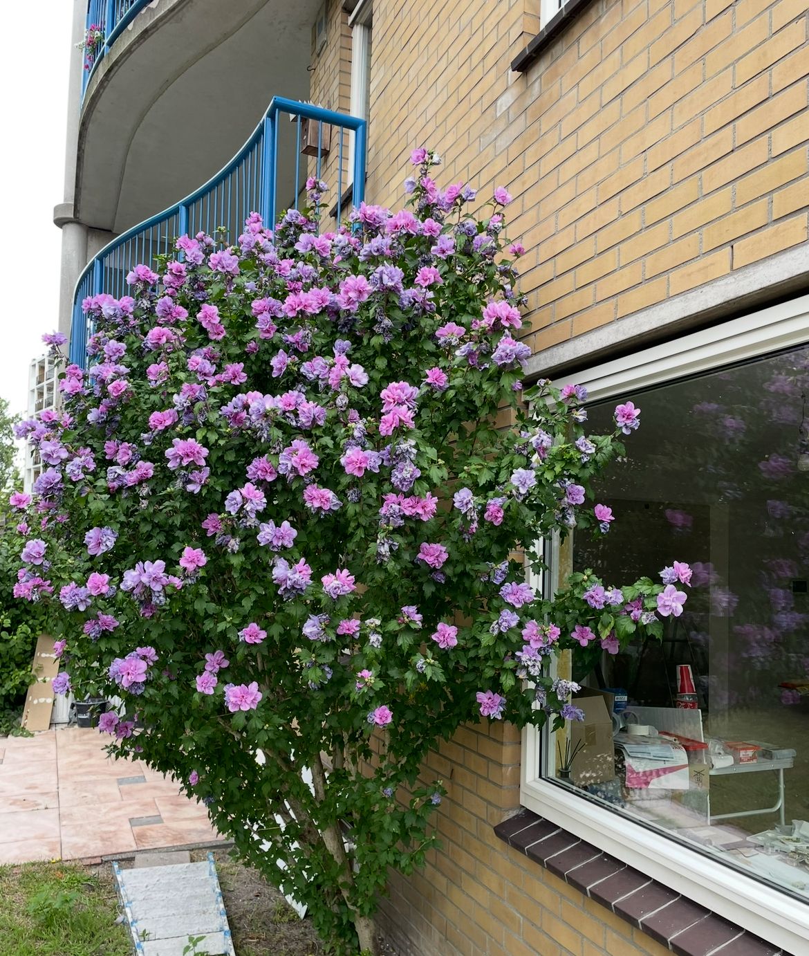 Foto 40 van Louis Davidsstraat 174