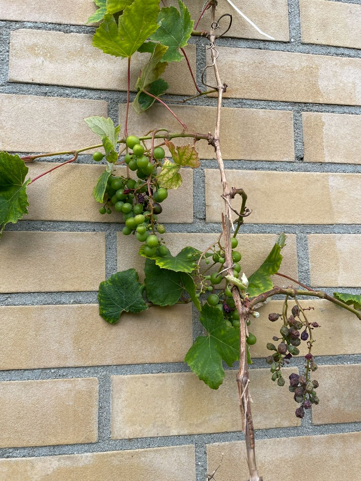 Foto 44 van Louis Davidsstraat 174