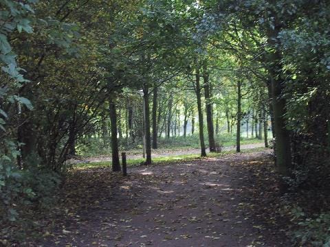 Foto 63 van Louis Davidsstraat 174