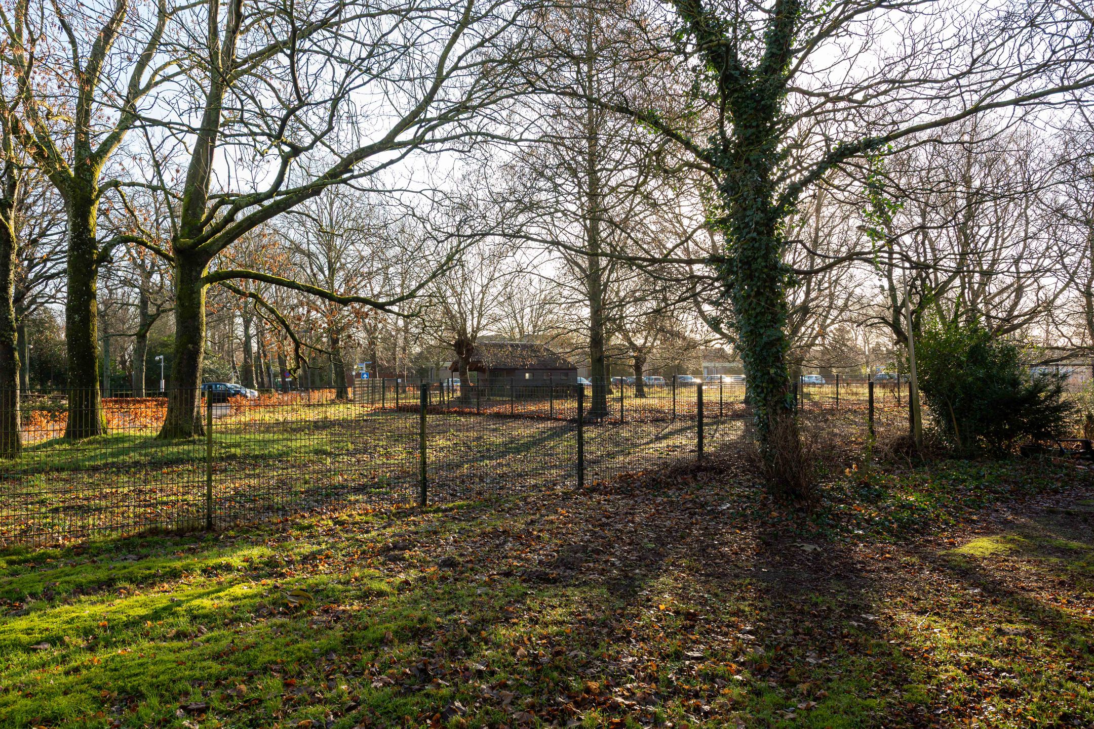 Photo 39 of De Olvendijk 21