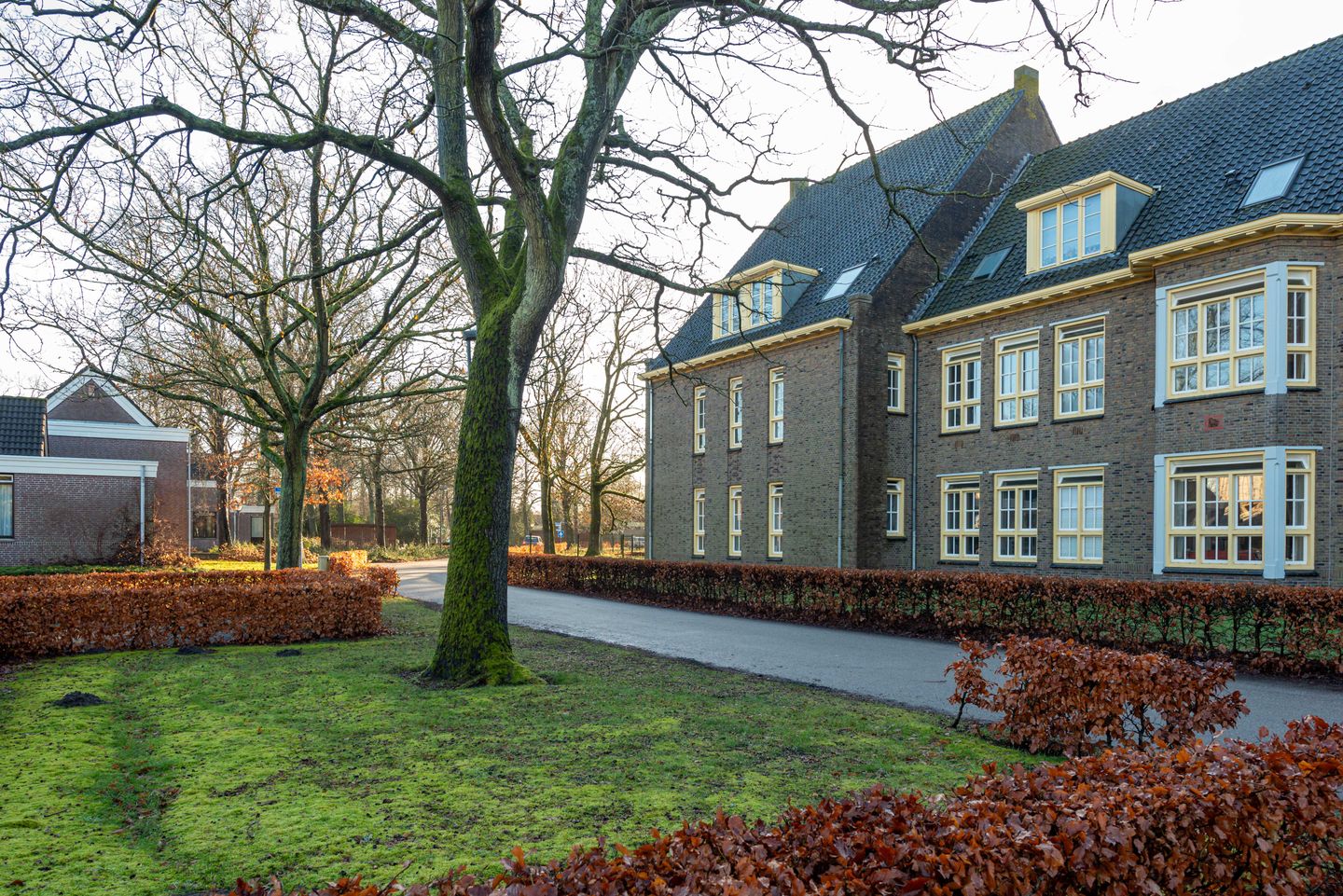 Photo 40 of De Olvendijk 21