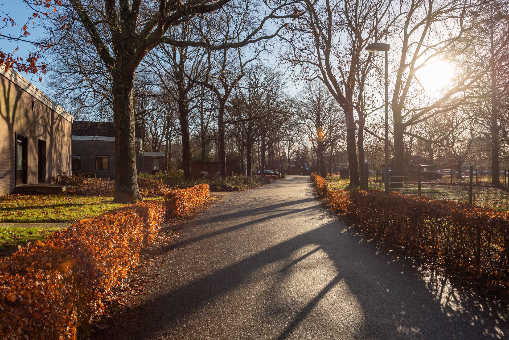 Photo 42 of De Olvendijk 21