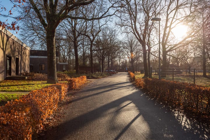 Foto 42 van De Olvendijk 21