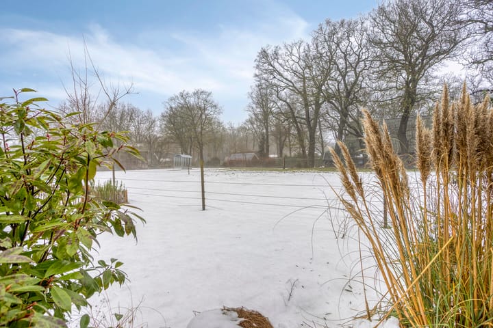 Foto 47 van Van Royenstraat 5