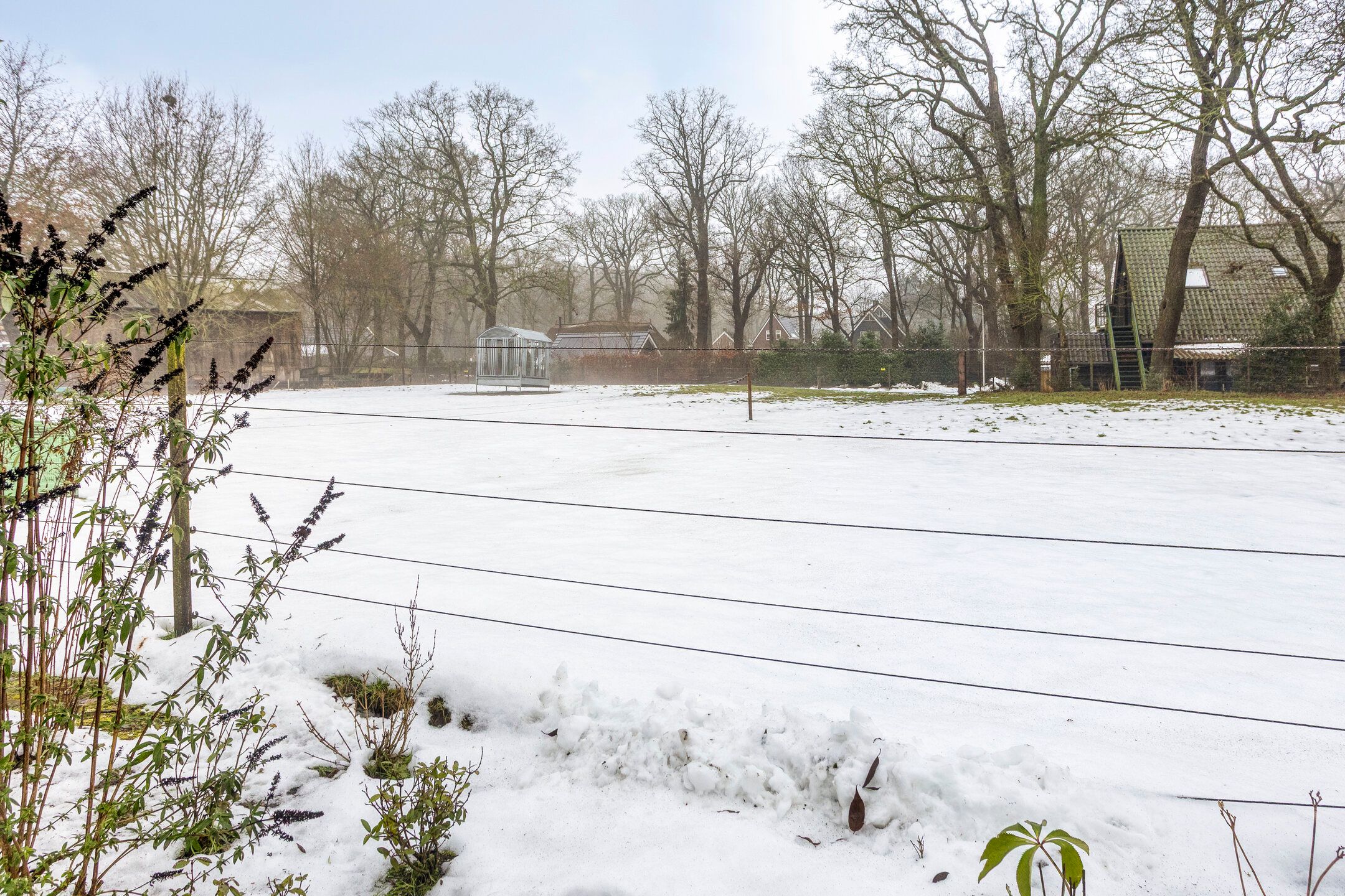 Foto 48 van Van Royenstraat 5