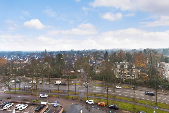 Foto 14 van Loolaan 41-112