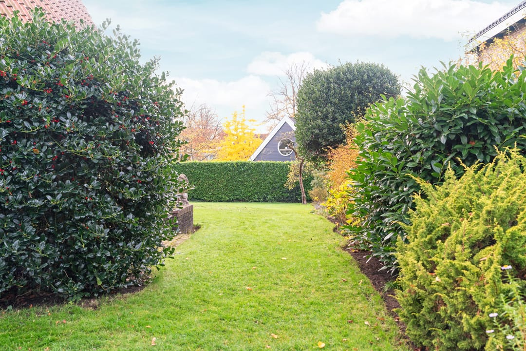 Foto 71 van Tromplaan 19