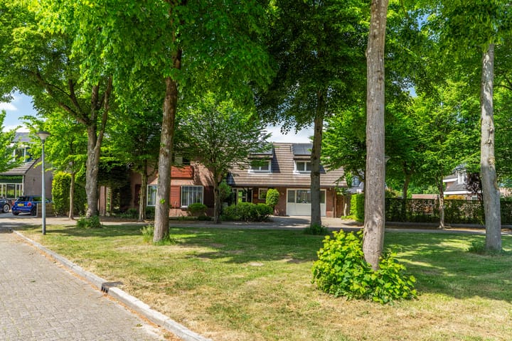 Foto 10 van Muidergouw 15