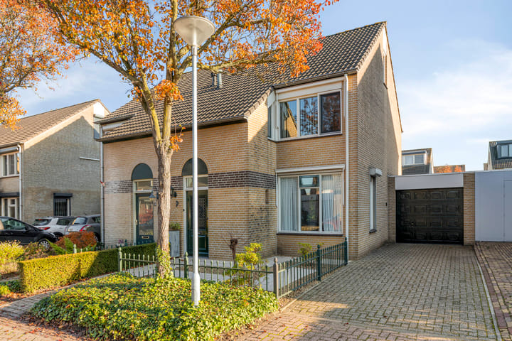 Foto 6 van Ekster 13