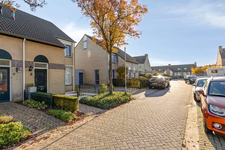 Foto 8 van Ekster 13