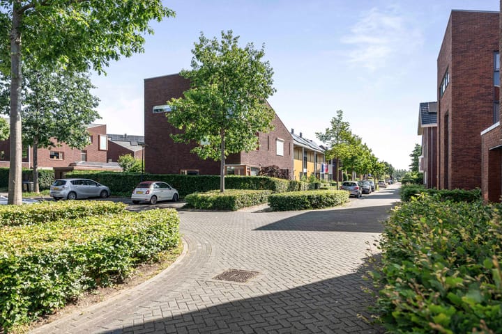 Foto 50 van Romeyn de Hooghestraat 14