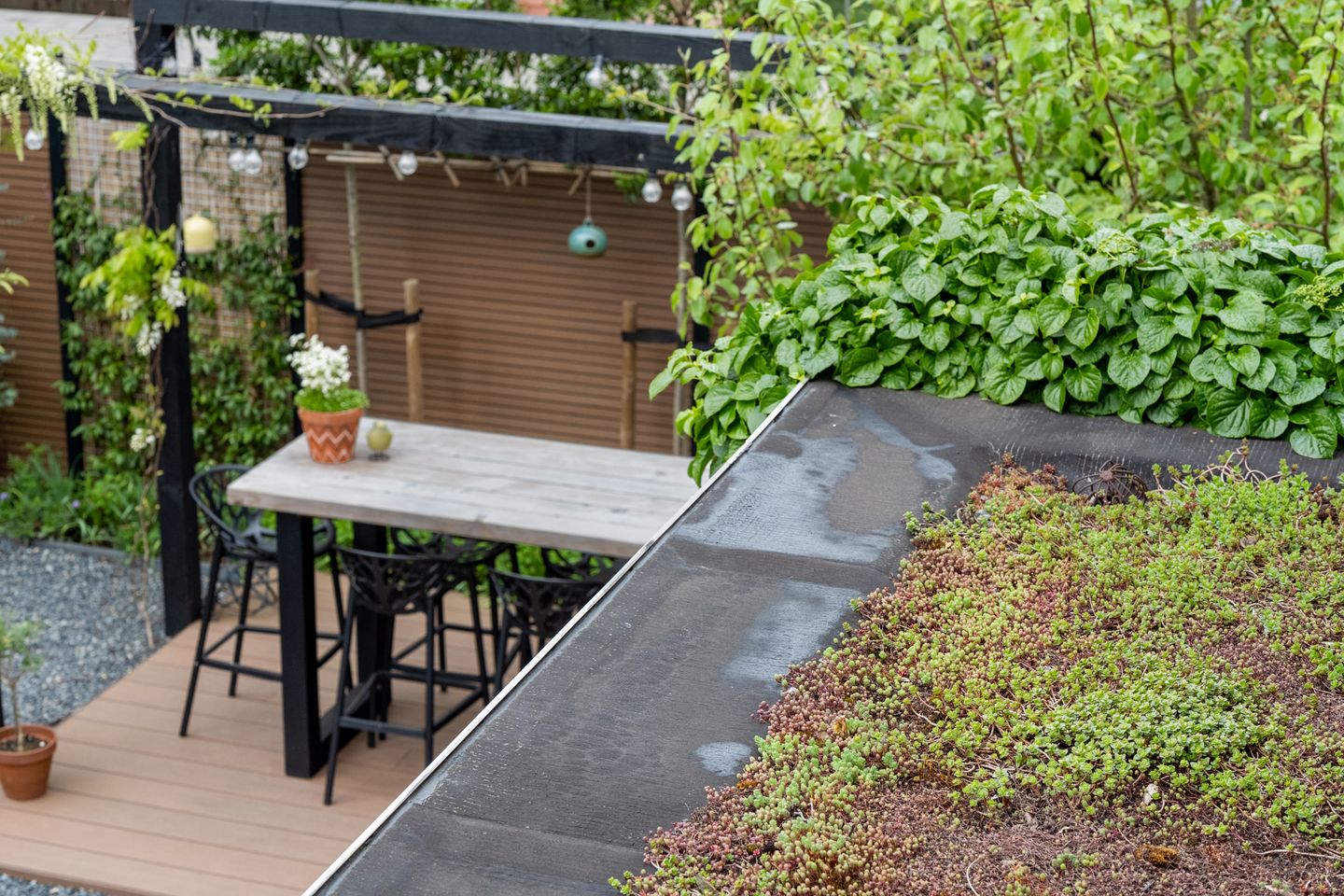 Photo 40 of Huibert van der Hoekpln 1