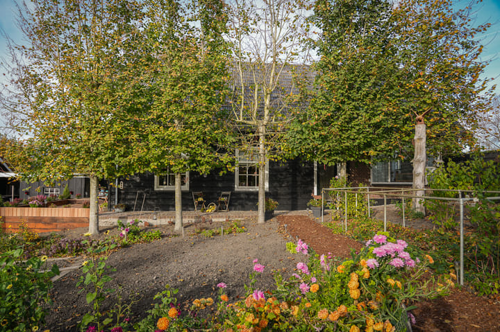 Foto 53 van Bazeldijk 40