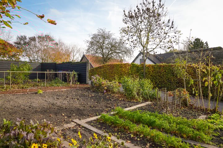 Foto 55 van Bazeldijk 40