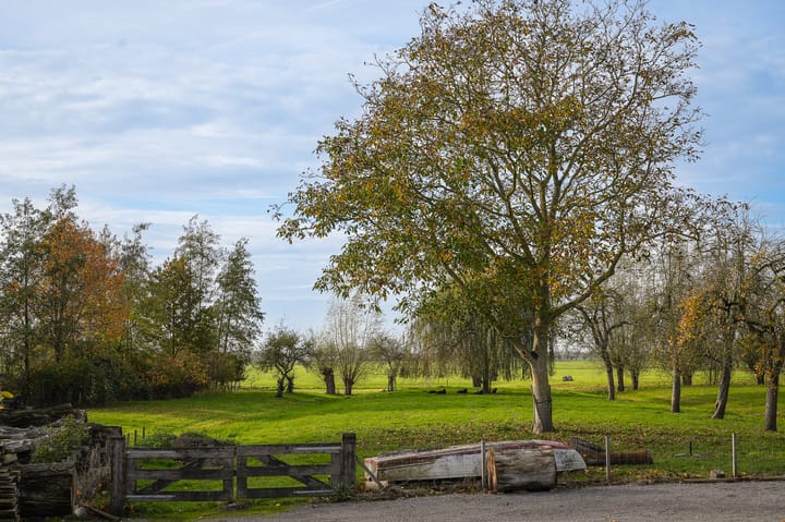 Foto 71 van Bazeldijk 40