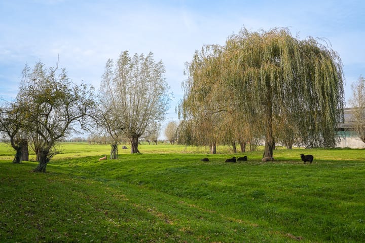 Foto 74 van Bazeldijk 40