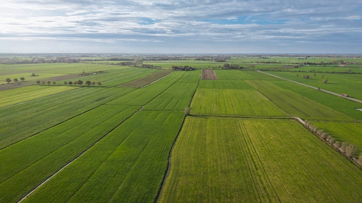 Foto 87 van Bazeldijk 40