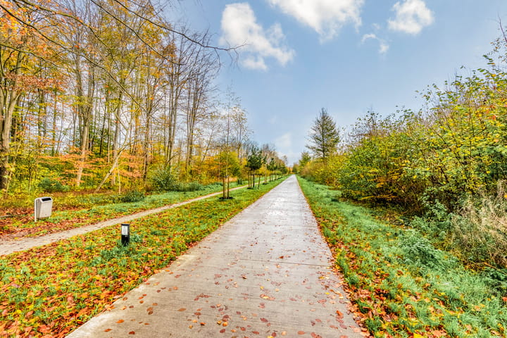 Foto 43 van Frans Duwaerstraat 19