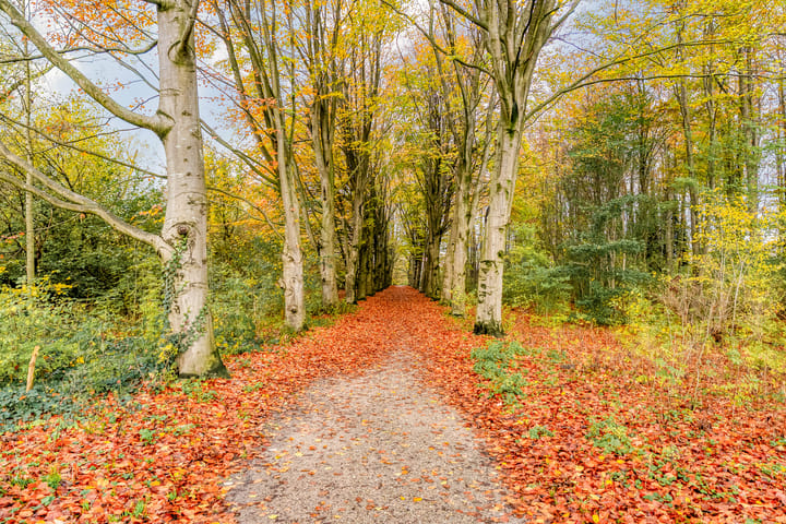 Foto 44 van Frans Duwaerstraat 19