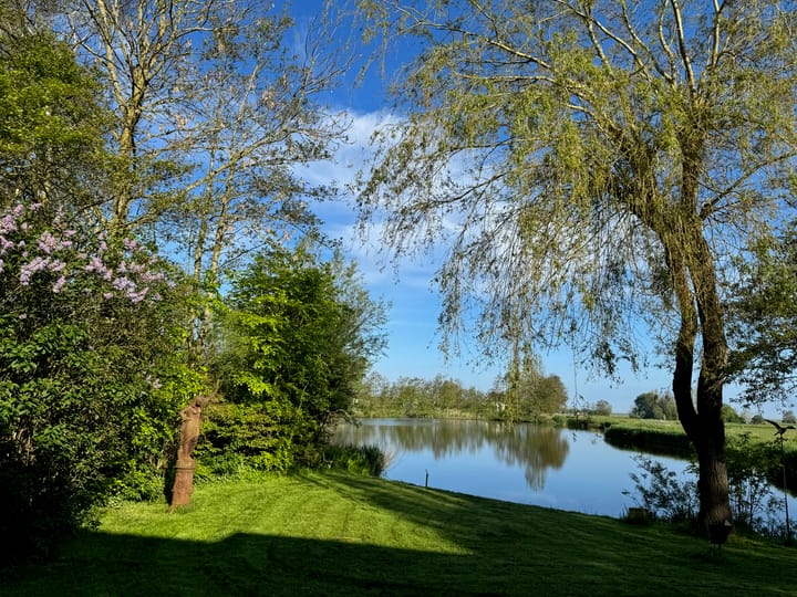 Foto 43 van Houtjeslaan 51