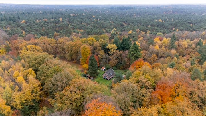 Foto 4 van Grensweg 2