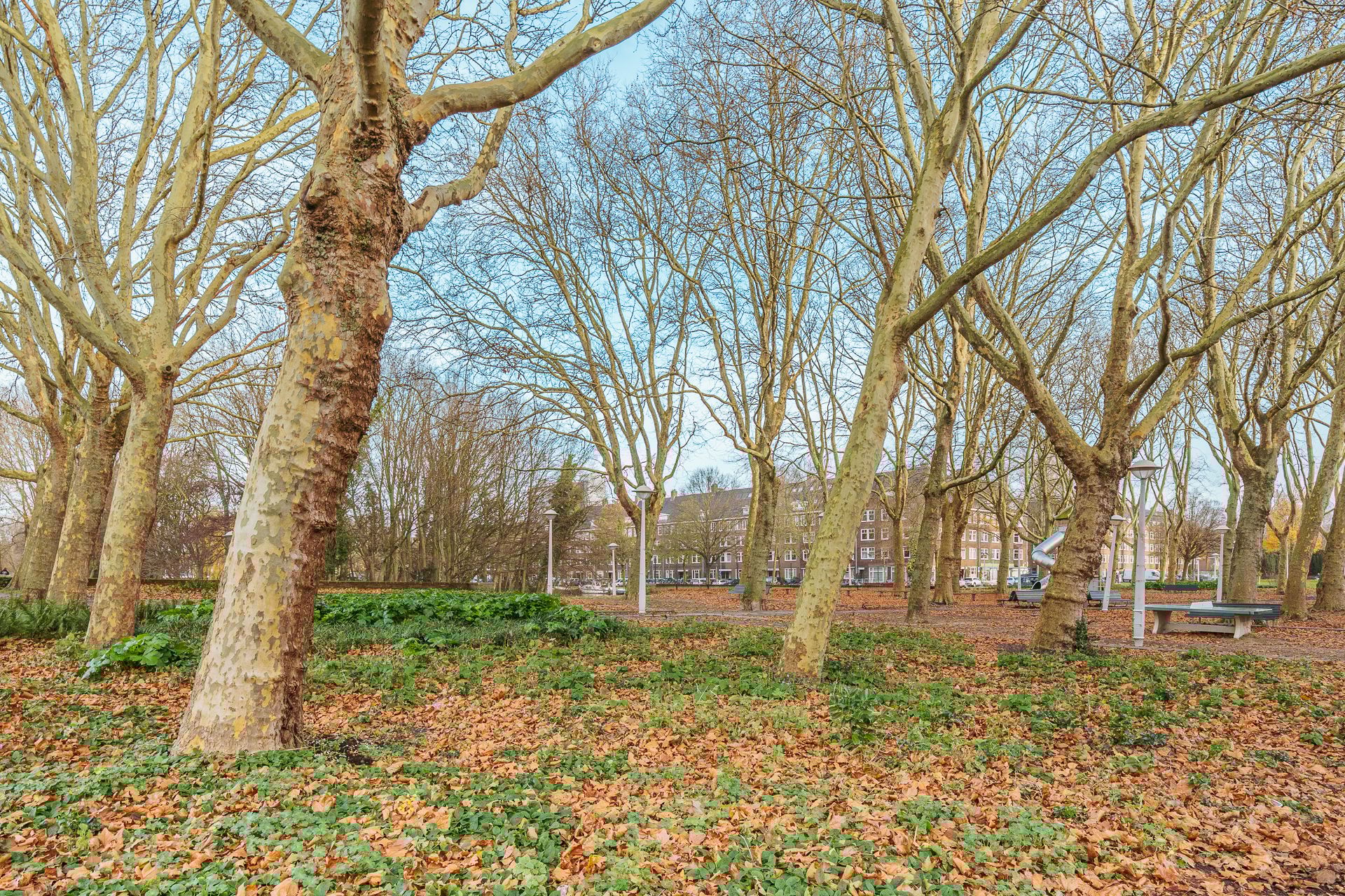 Photo 24 of Woestduinstraat 9-1