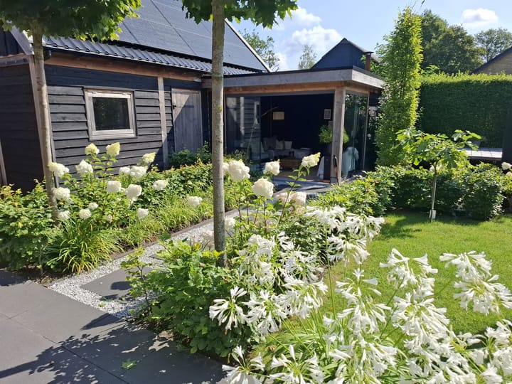 Foto 42 van Bovenboer 43