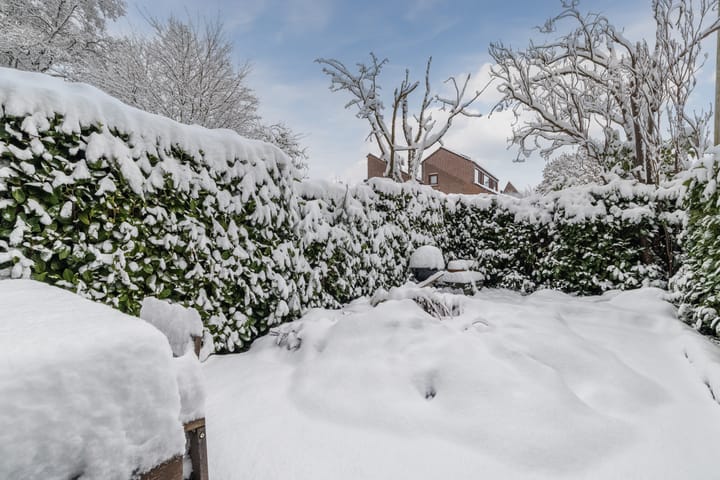 Foto 13 van Albert van Dalsumlaan 75