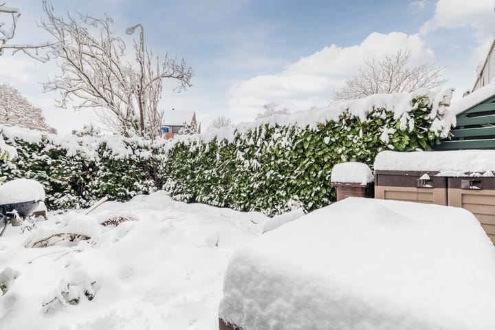 Foto 14 van Albert van Dalsumlaan 75