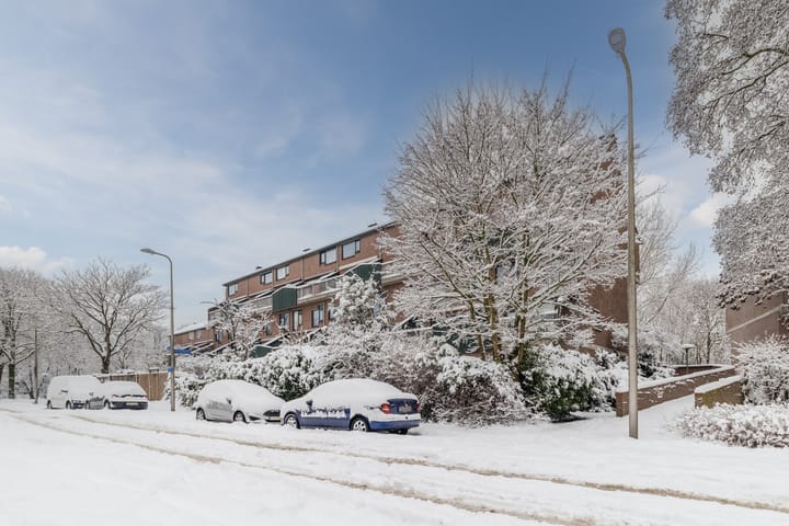 Foto 51 van Albert van Dalsumlaan 75