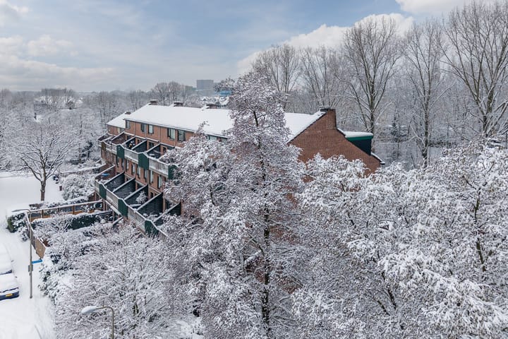 Foto 53 van Albert van Dalsumlaan 75