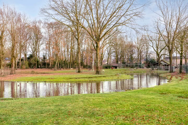 Foto 50 van Smidse 145