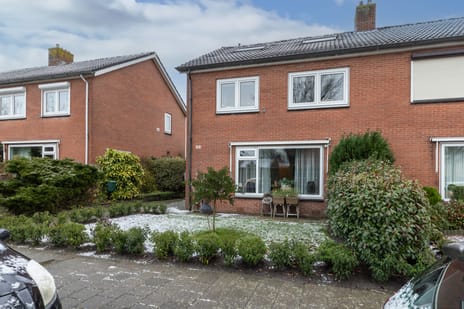 undefined main image