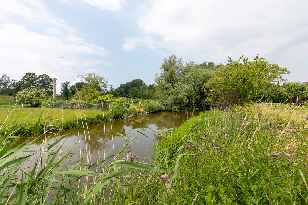 Photo 16 of Beekmanstraat 18