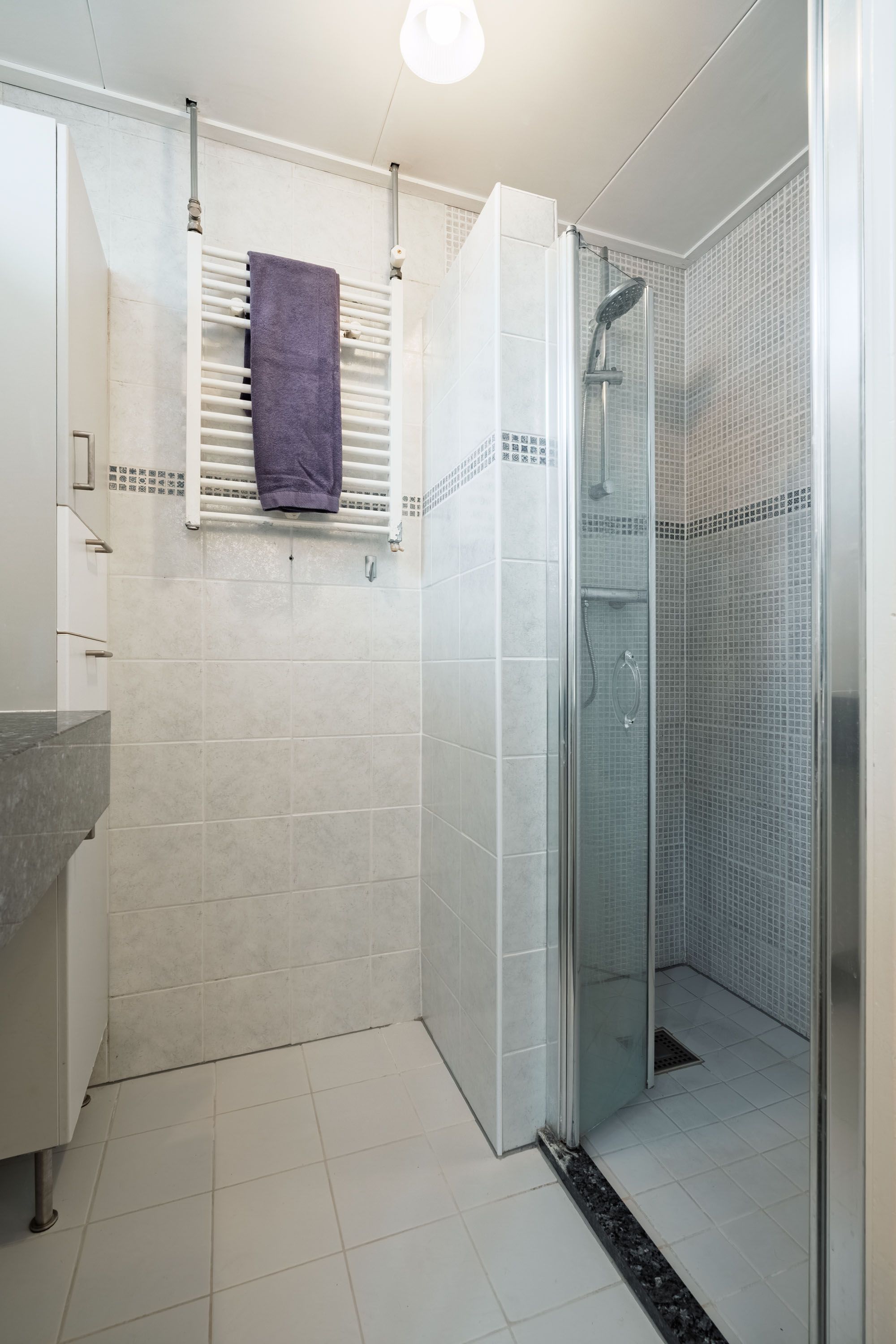 Foto 21 van Diedenweg 109-II