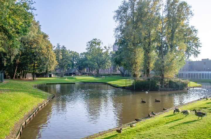 Foto 54 van Smidse 145