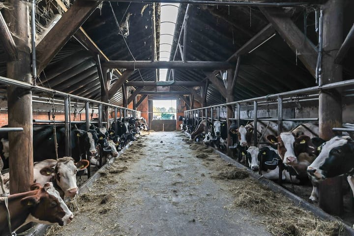 Foto 9 van Hunzeweg 45