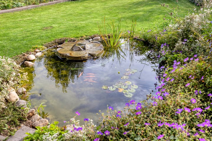 Foto 38 van Macharenseweg 25