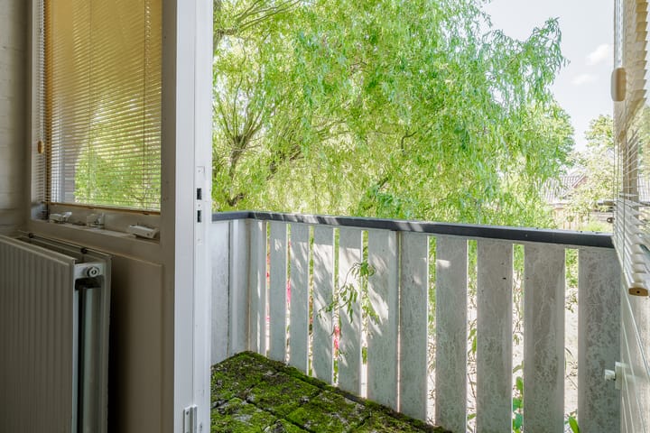 Foto 37 van de Hagen 15