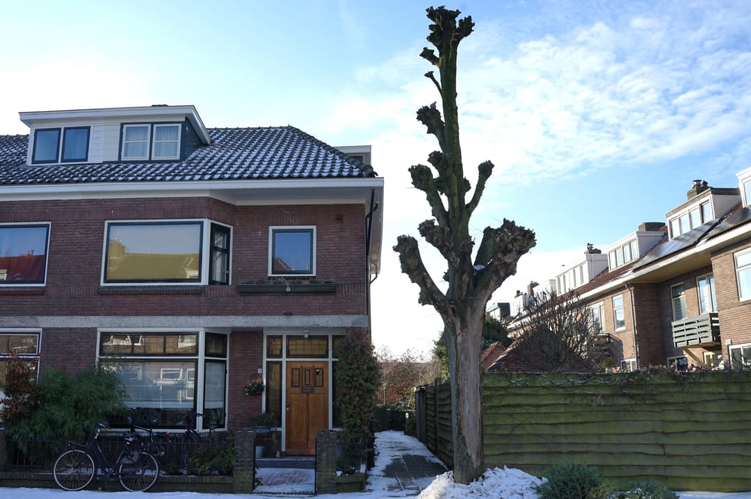 Photo 1 of J.A. Reinckenstraat 9