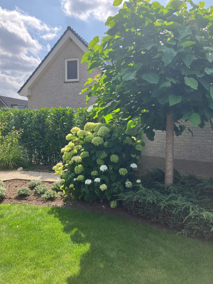 Foto 30 van Mauritiusstraat 5