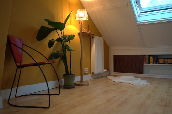 Foto 37 van J.A. Reinckenstraat 9